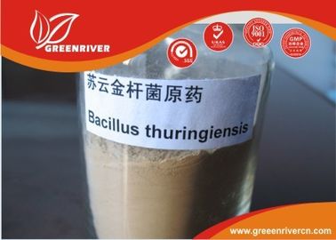 La Cina Insetticida bianco di Bacillus thuringiensis della polvere per controllo lepidopterous delle larve fornitore